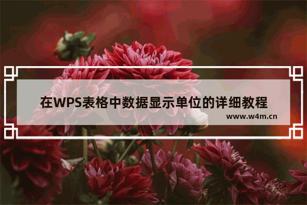 在WPS表格中数据显示单位的详细教程