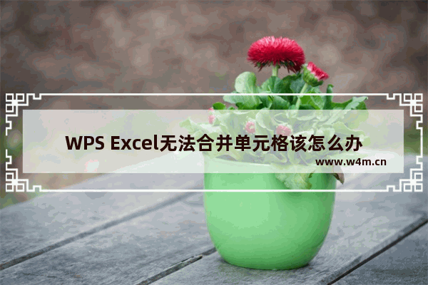 WPS Excel无法合并单元格该怎么办