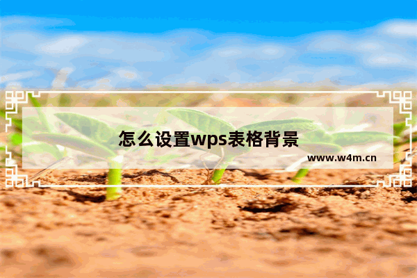 怎么设置wps表格背景