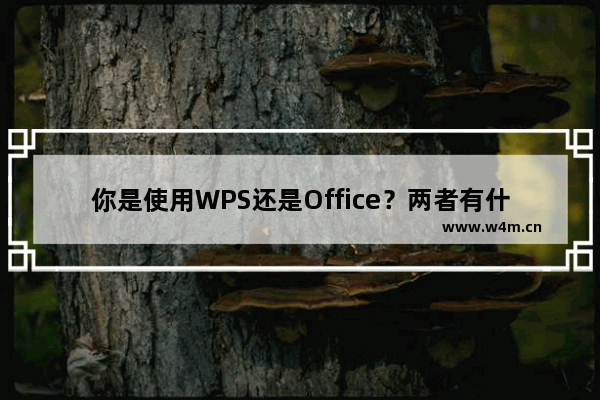 你是使用WPS还是Office？两者有什么区别？