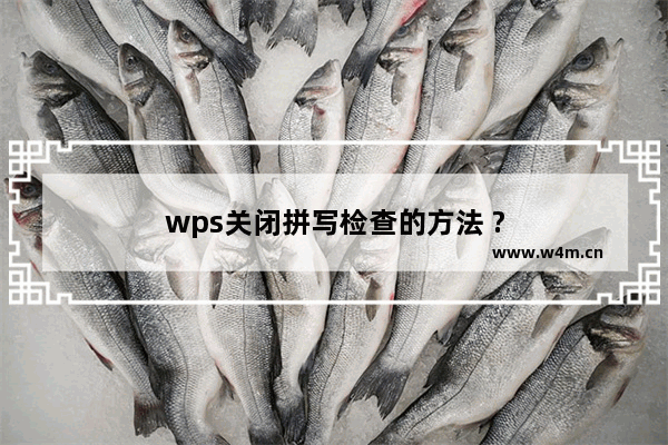 wps关闭拼写检查的方法 ?