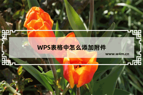 WPS表格中怎么添加附件