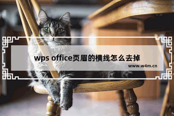 wps office页眉的横线怎么去掉