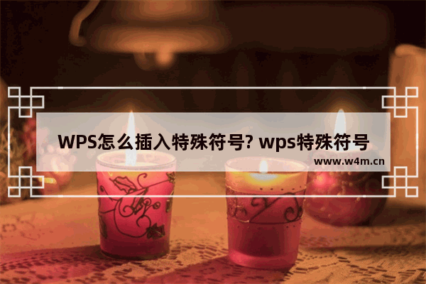 WPS怎么插入特殊符号? wps特殊符号的输入方法