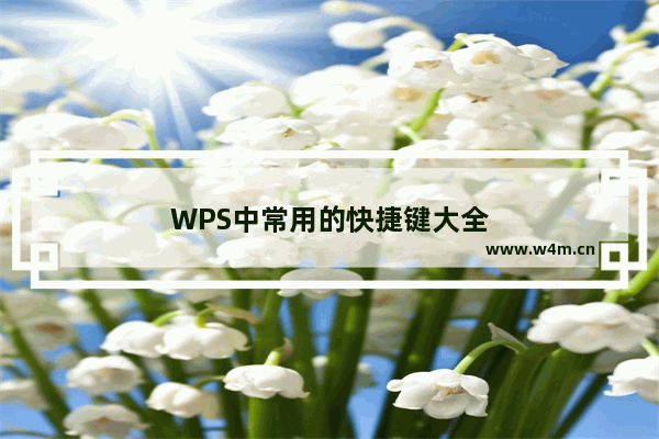 WPS中常用的快捷键大全