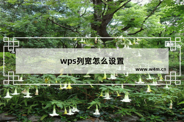 wps列宽怎么设置