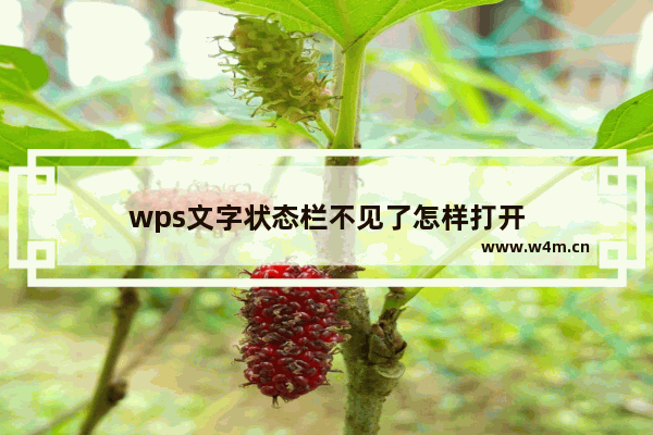 wps文字状态栏不见了怎样打开