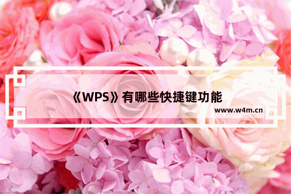 《WPS》有哪些快捷键功能