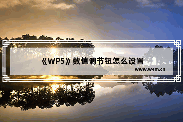 《WPS》数值调节钮怎么设置