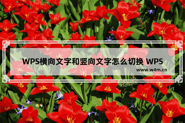 WPS横向文字和竖向文字怎么切换 WPS横向文字和竖向文字切换教学