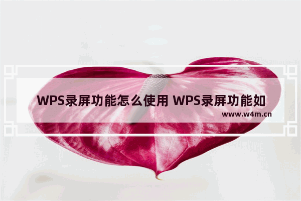 WPS录屏功能怎么使用 WPS录屏功能如何使用