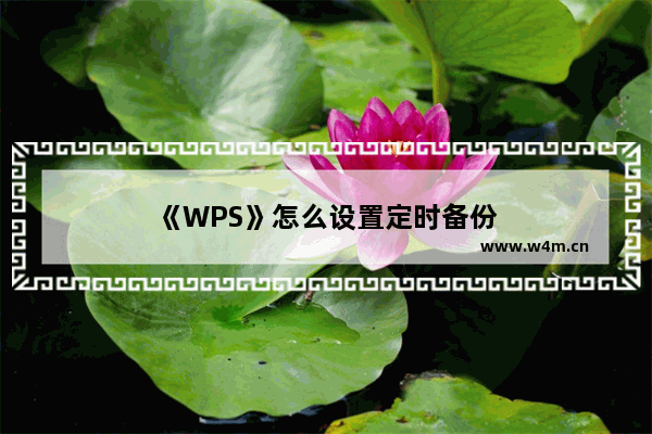 《WPS》怎么设置定时备份