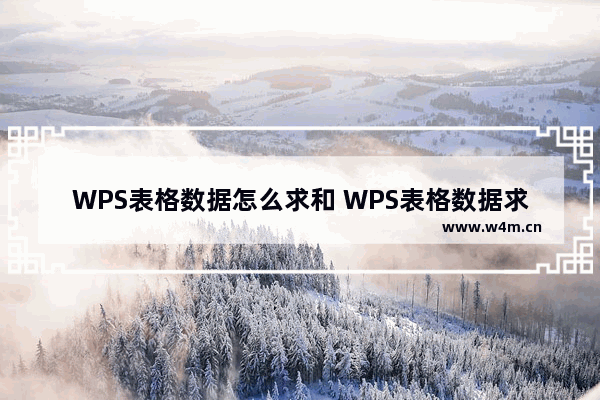 WPS表格数据怎么求和 WPS表格数据求和的操作方法教学