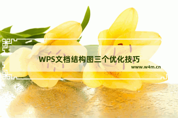 WPS文档结构图三个优化技巧