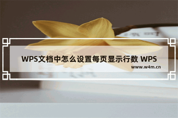 WPS文档中怎么设置每页显示行数 WPS文档中设置每页显示行数的方法分享