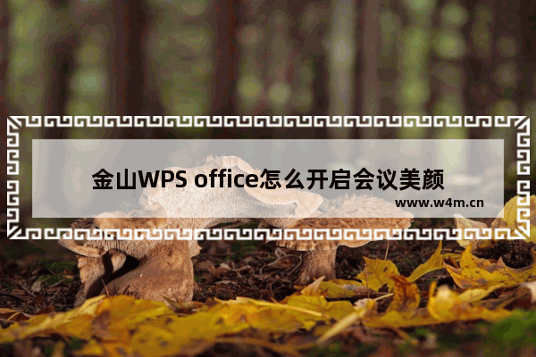 金山WPS office怎么开启会议美颜-金山WPS office开启会议美颜的方法