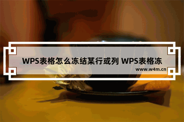 WPS表格怎么冻结某行或列 WPS表格冻结某行或列操作方法教学