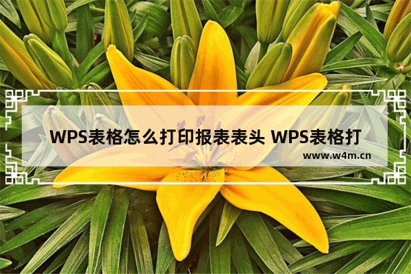 WPS表格怎么打印报表表头 WPS表格打印报表表头的操作方法详细教学