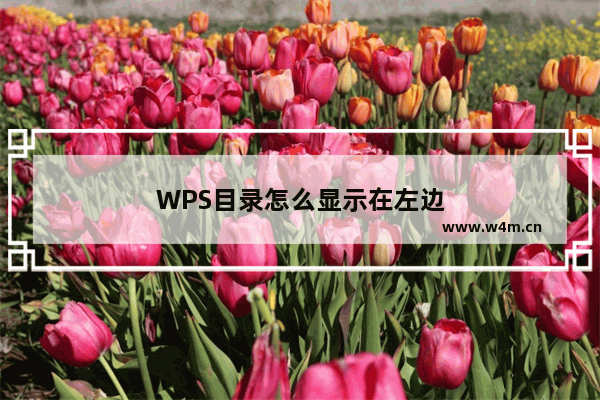 WPS目录怎么显示在左边