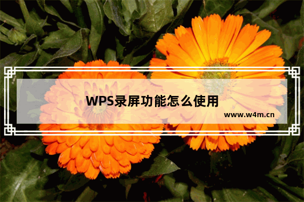 WPS录屏功能怎么使用