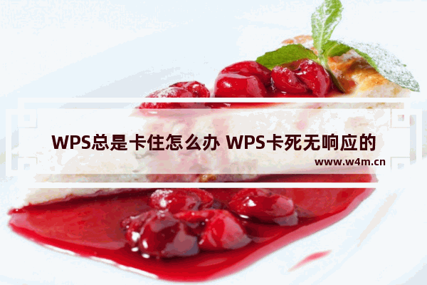 WPS总是卡住怎么办 WPS卡死无响应的解决方法分享