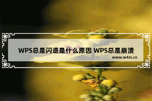 WPS总是闪退是什么原因 WPS总是崩溃怎么处理解决方法教学