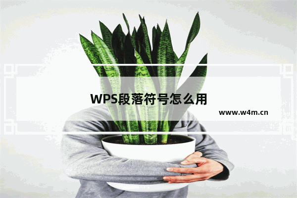 WPS段落符号怎么用