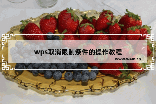 wps取消限制条件的操作教程