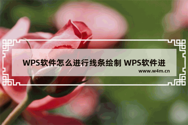 WPS软件怎么进行线条绘制 WPS软件进行线条绘制操作方法教学