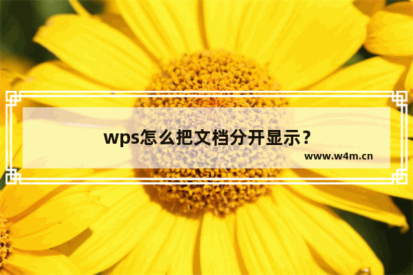 wps怎么把文档分开显示？