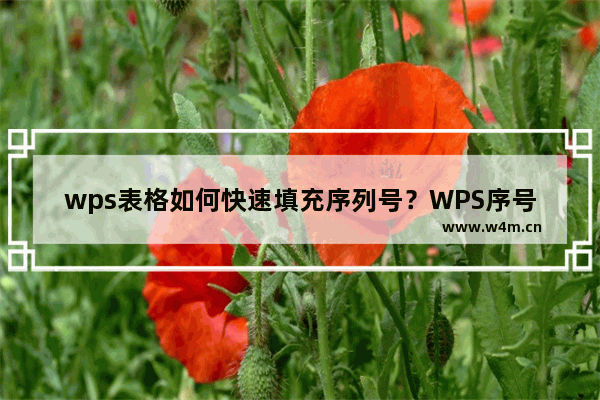 wps表格如何快速填充序列号？WPS序号填充的简单方法教程