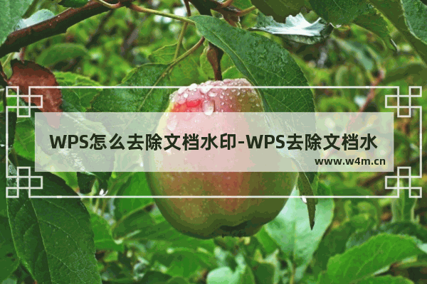 WPS怎么去除文档水印-WPS去除文档水印教程