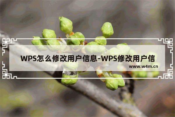 WPS怎么修改用户信息-WPS修改用户信息的方法