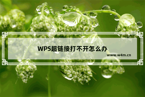 WPS超链接打不开怎么办