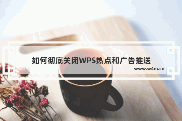 如何彻底关闭WPS热点和广告推送