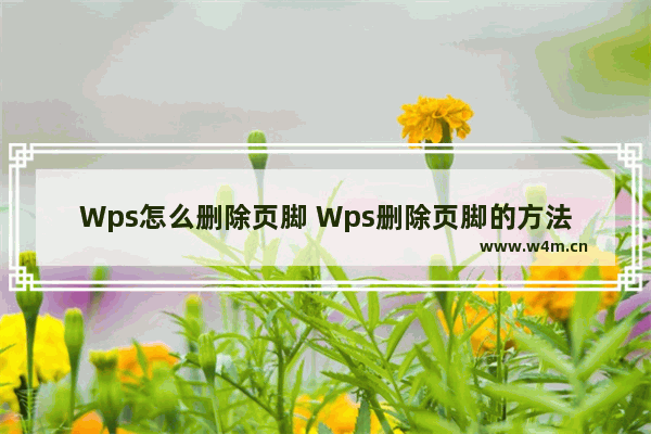 Wps怎么删除页脚 Wps删除页脚的方法