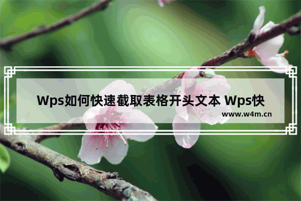 Wps如何快速截取表格开头文本 Wps快速截取表格开头文本的方法