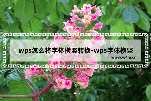 wps怎么将字体横竖转换-wps字体横竖转换的方法