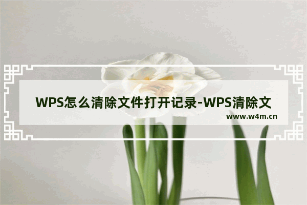 WPS怎么清除文件打开记录-WPS清除文件打开记录方法