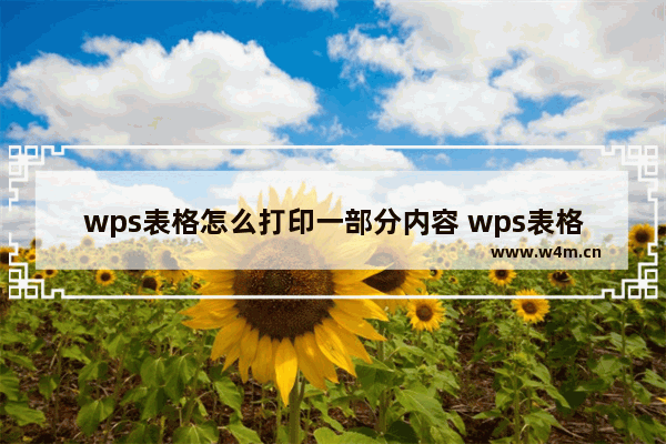 wps表格怎么打印一部分内容 wps表格如何打印一部分内容