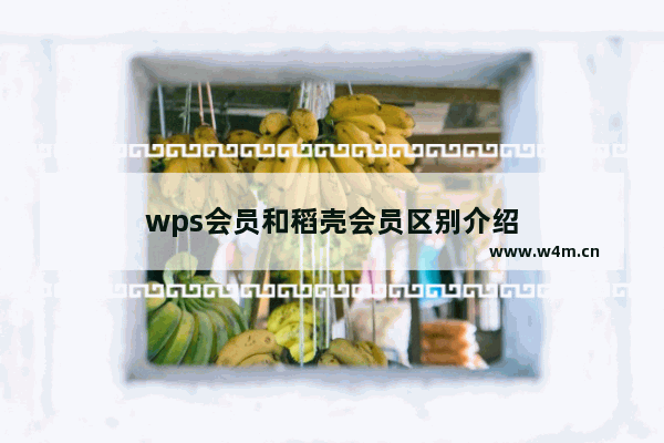 wps会员和稻壳会员区别介绍