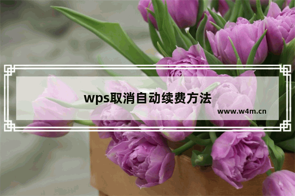 wps取消自动续费方法