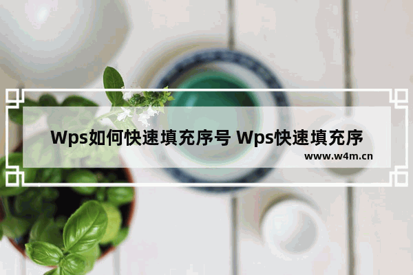 Wps如何快速填充序号 Wps快速填充序号的方法