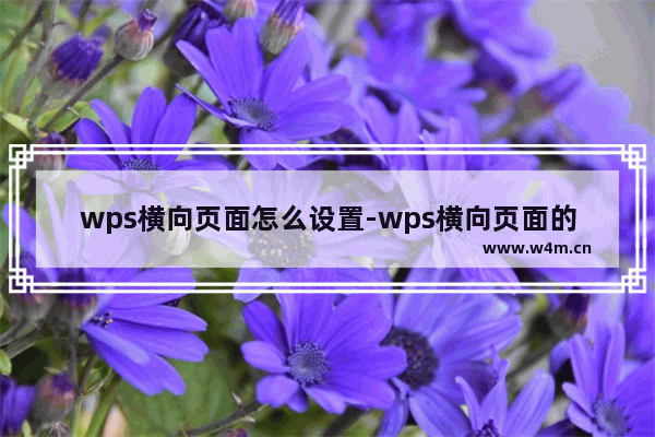 wps横向页面怎么设置-wps横向页面的设置方法