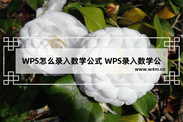 WPS怎么录入数学公式 WPS录入数学公式的方法