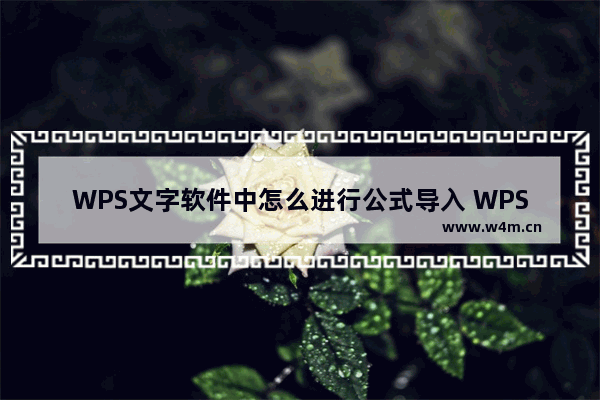 WPS文字软件中怎么进行公式导入 WPS文字软件中进行公式导入操作分享