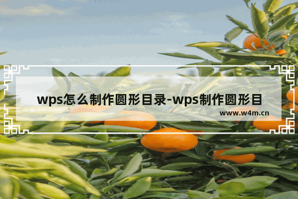 wps怎么制作圆形目录-wps制作圆形目录的方法