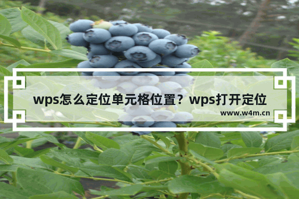 wps怎么定位单元格位置？wps打开定位条件步骤介绍