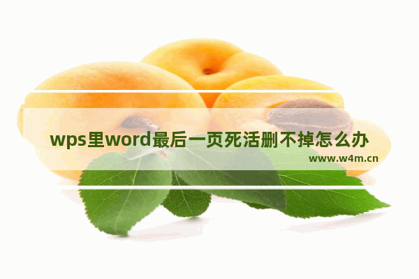 wps里word最后一页死活删不掉怎么办 wps里word最后一页死活删不掉解决办法