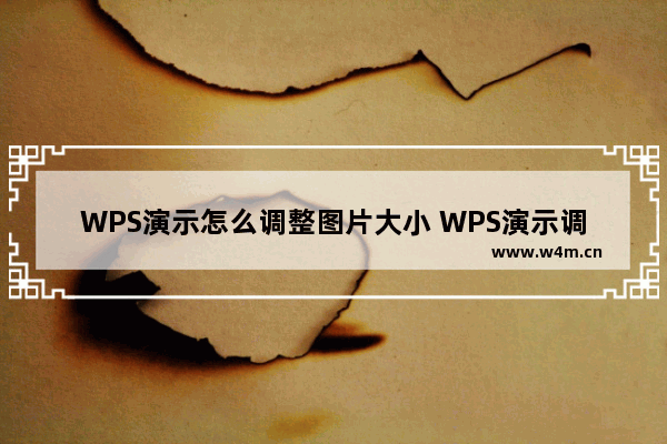 WPS演示怎么调整图片大小 WPS演示调整图片大小操作方法分享